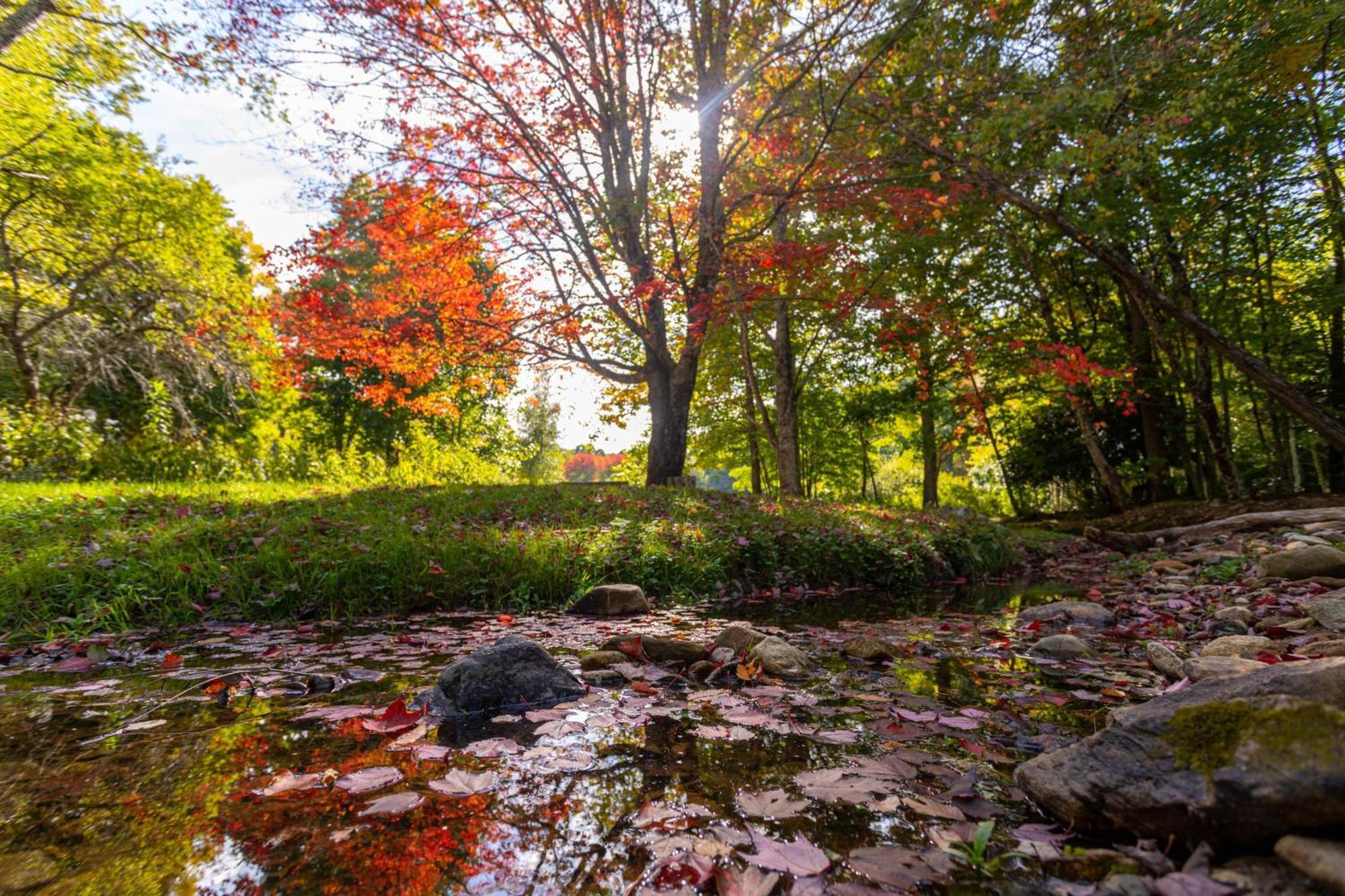 Вилла Matney Ridge Estate Баннер-Элк Экстерьер фото